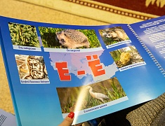 Благовещенские воспитатели поделились опытом с коллегами из Южно-Сахалинска