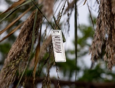  В Первомайском парке назвали лучшие работы в стиле лэнд-арт