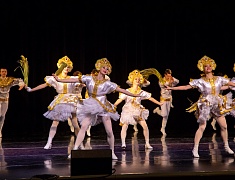 Благотворительный концерт в помощь детям состоялся в Благовещенске