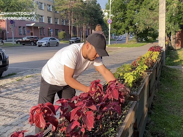 Оазис посреди городской суеты: предприниматель украшает территорию возле своего павильона