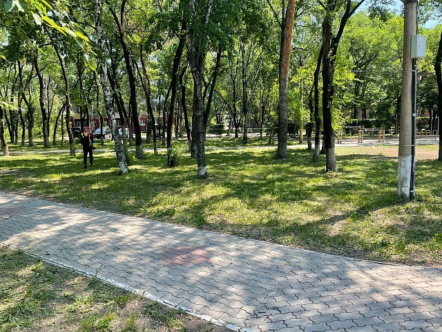 Благовещенские магистрали избавляют от растительности 