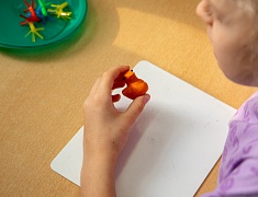 Благовещенские воспитатели поделились опытом с коллегами из Южно-Сахалинска