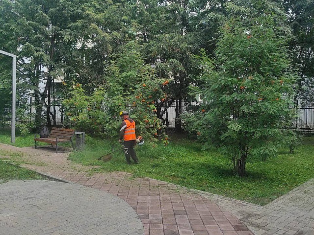 Даже с приходом осени благовещенцы слышат звуки работающих газонокосилок