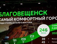 Мэр областного центра представил отчет о работе администрации