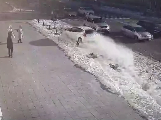 Автоледи, протаранившая несколько светильников возле здания благовещенской мэрии, возместит ущерб. Сколько?