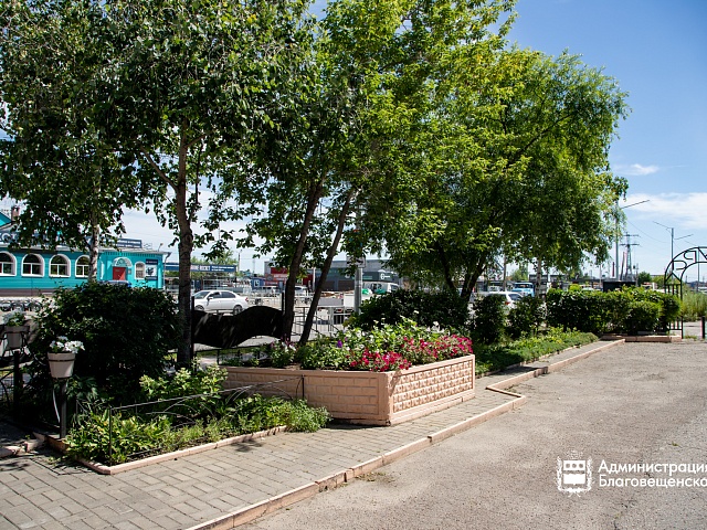 Прогноз погоды в Благовещенске на 14 августа: 