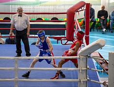 В Благовещенске состоялся турнир по боксу, посвященный памяти мастера спорта СССР Виктора Лихогра