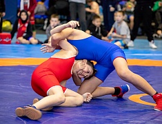 Столица Приамурья стала площадкой для соревнования по вольной борьбе