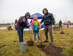Аллею из сирени в 1,5 километра высадили в отдаленном районе Благовещенска