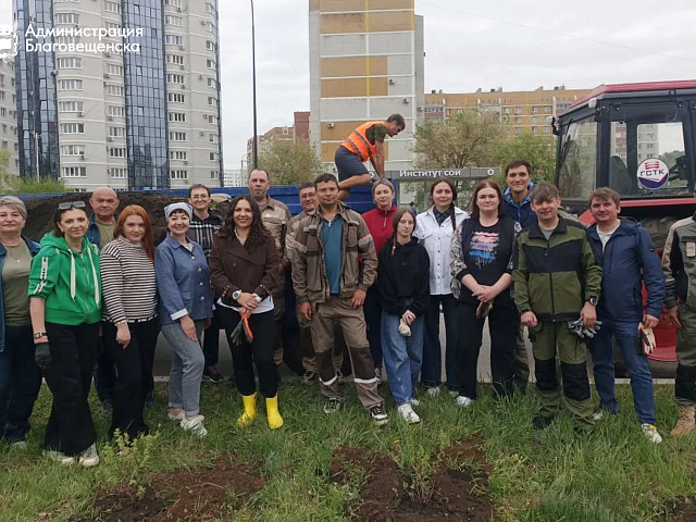 Около 40 кустарников курильского чая украсили микрорайон