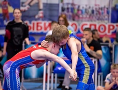 Открытое первенство Благовещенска по спортивной борьбе «VII Наследие ТРОИ»