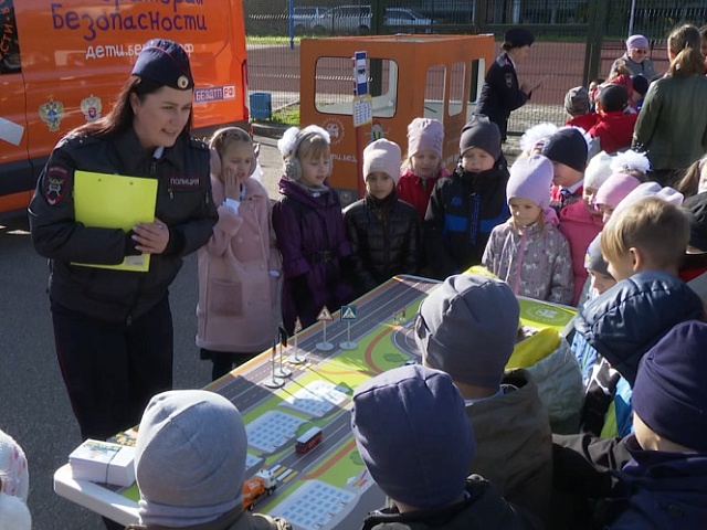 Госавтоинспекция Благовещенска проверит пешеходов на знание ПДД 