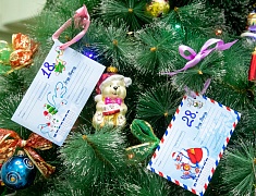 Сотрудники администрации Благовещенска станут новогодними волшебниками