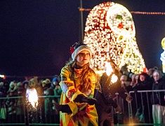 В Благовещенске с размахом отметили китайский новый год