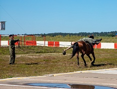 Более 4 с половиной тысяч благовещенцев отметили День государственного флага