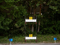 Трудовые коллективы Благовещенска сравнили свои силы в спартакиаде