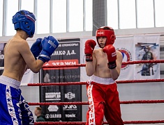 Фестиваль единоборств «Знамя Победы»