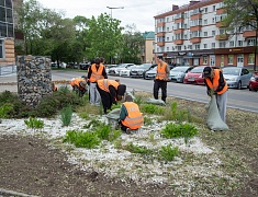 Летние каникулы для 28 юных благовещенцев начались с трудоустройства в ГСТК
