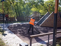 Выездное совещание мэра по содержанию общественной территории в селе Плодопитомник