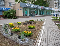 Фестиваль цветов «Город в цвете»