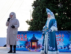 В Благовещенске подвели итоги конкурса снегозавров