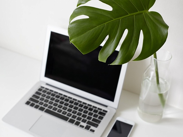 Правительство утвердило перечень программ для обязательной предустановки в 2025 году