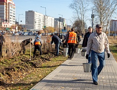 К общегородскому субботнику присоединились работники администрации Благовещенска