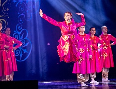 В Благовещенске День народного единства отметили большим концертом 