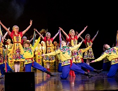 В Благовещенске День народного единства отметили большим концертом 