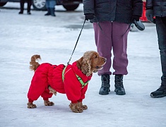 В Благовещенске с размахом отметили китайский новый год