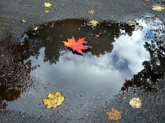  Амурские синоптики прогнозируют осадки