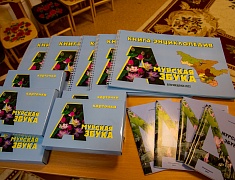 Благовещенские воспитатели поделились опытом с коллегами из Южно-Сахалинска