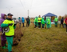 Аллею из сирени в 1,5 километра высадили в отдаленном районе Благовещенска
