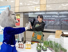 В ОКЦ подвели промежуточные итоги реализации корпоративных программ в учреждениях Благовещенска