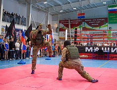 Чемпионат и первенство Амурской области по муай-тай прошли в Благовещенске