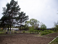 В Благовещенске представили лучшие практики работы с детьми-инвалидами и детьми с ОВЗ