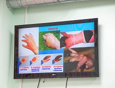 В Благовещенске волонтеры городских мероприятий теперь умеют оказывать первую помощь