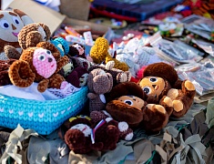 В Благовещенске стартовала «Лыжня России 2025»