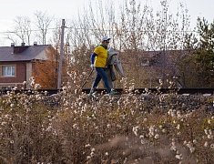 В рамках акции «Город берегу» большой субботник прошел на улице Чайковского