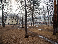 Мэр Благовещенска Олег Имамеев провел выездное совещание по благоустройству сквера водников