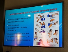 Проект «Жизнь в твоих руках»