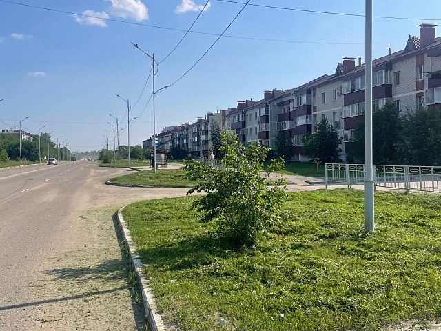 Благовещенск становится уютнее: где покосили траву на этой неделе?