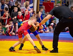 Открытое первенство Благовещенска по спортивной борьбе «VII Наследие ТРОИ»