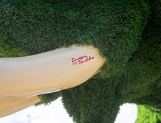 В Благовещенске появился новый арт-объект