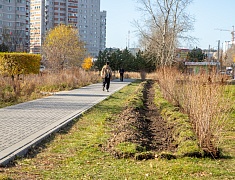 К общегородскому субботнику присоединились работники администрации Благовещенска
