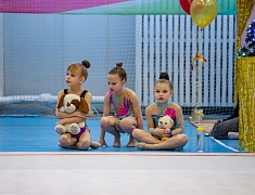 В Благовещенске прошли соревнования по художественной гимнастике "Новогоднее конфетти 2022"