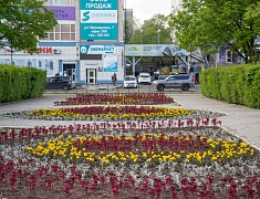 Фестиваль цветов «Город в цвете»