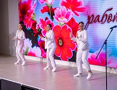 Амурских медиков поздравили с профессиональным праздником