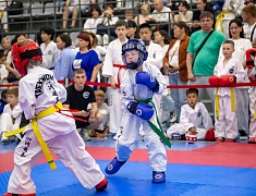 Почти три сотни спортсменов собрал турнир по тхэквондо в Благовещенске