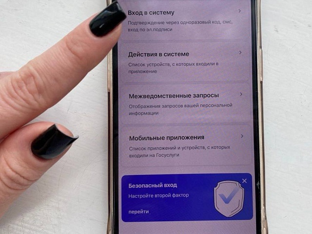 Кредит, налоговый вычет и электронная сим-карта: благовещенцам рассказали зачем мошенникам нужен доступ к данным на портале Госуслуги